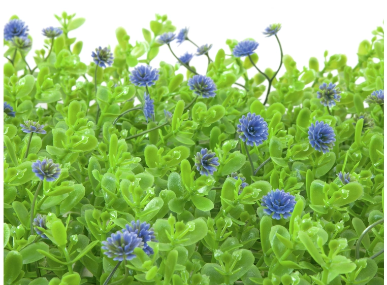 EUROPALMS Grass mat, artificial, green-purple, 25x25cm 