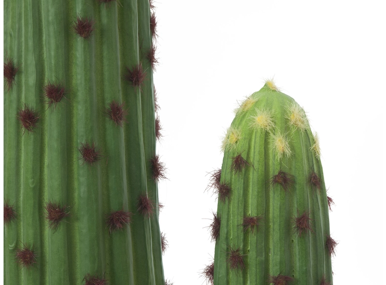 EUROPALMS Mexican cactus, artificial plant, green, 117cm 