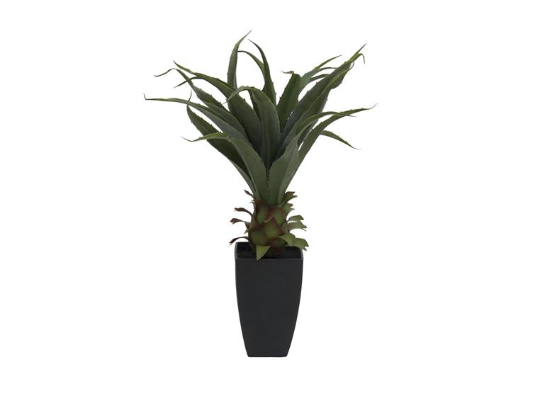 Europalms Agave plant with pot, 75cm