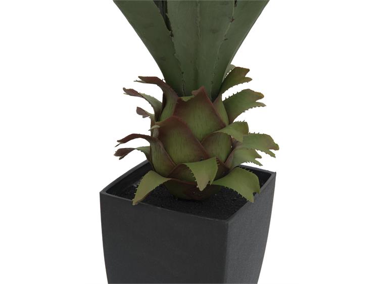 Europalms Agave plant with pot, 75cm