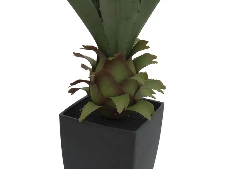 Europalms Agave plant with pot, 75cm 