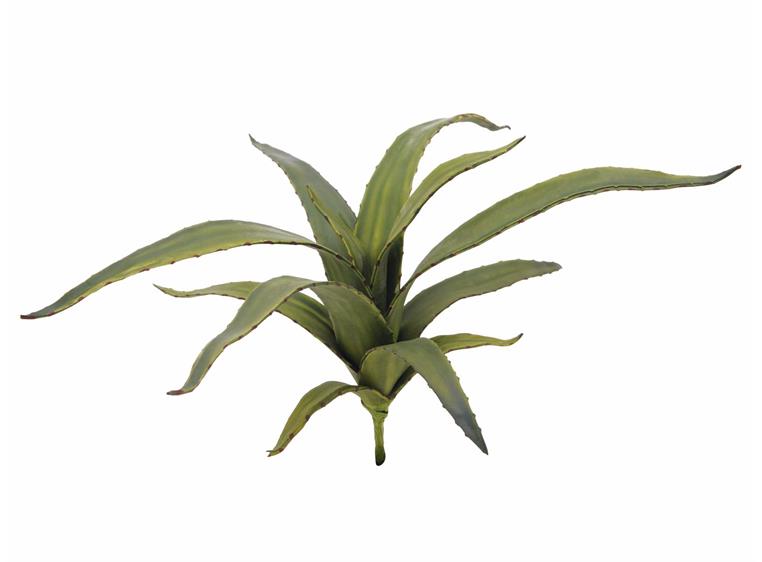 Europalms Aloe (EVA), green, 66cm
