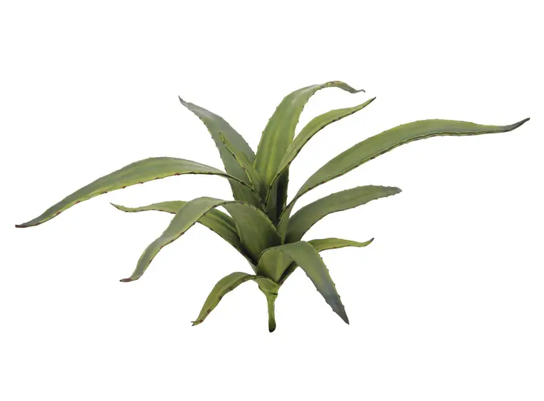 Europalms Aloe (EVA), green, 66cm 