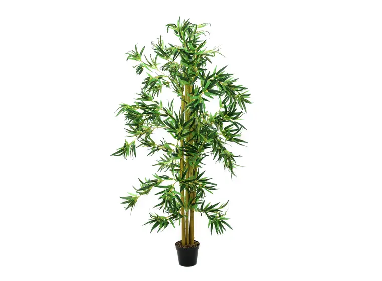 Europalms Bamboo multi trunk, 150cm 