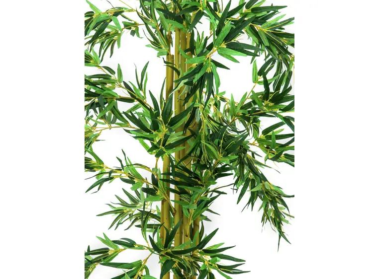 Europalms Bamboo multi trunk, 150cm 