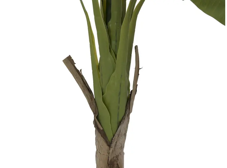 Europalms Banana tree, 145cm 
