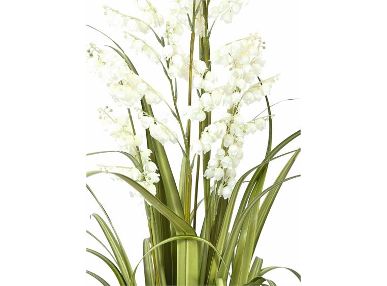 Europalms Bellflower, white, 105cm