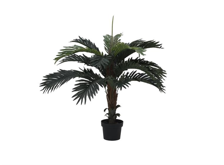 Europalms Coconut palm, 90cm