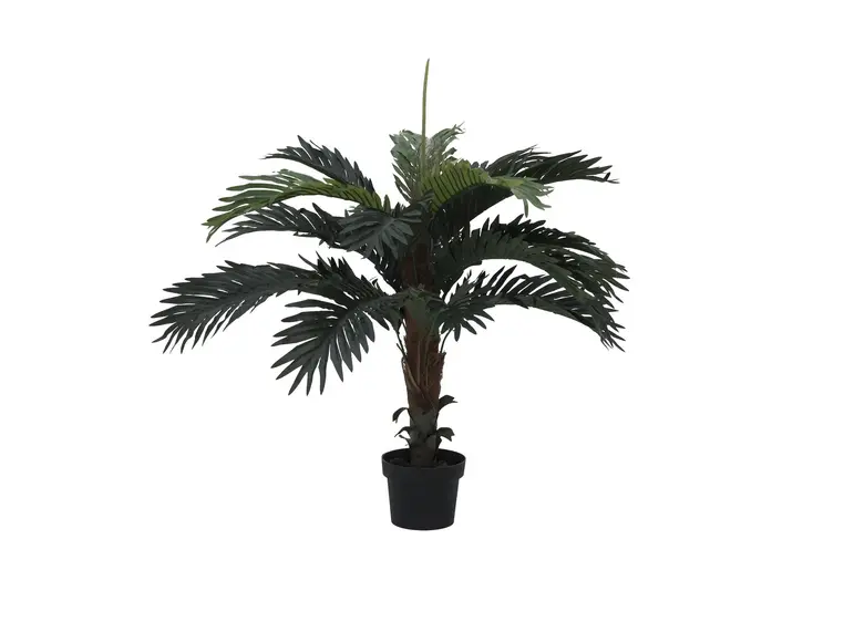 Europalms Coconut palm, 90cm 