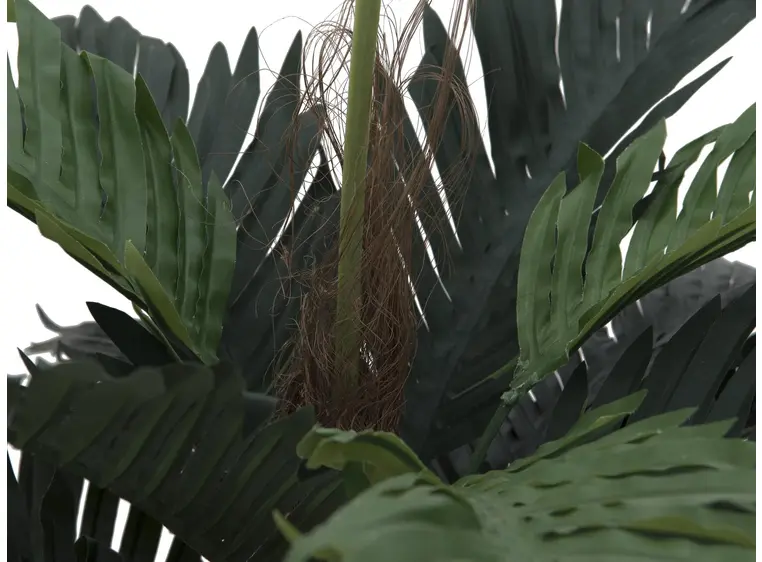 Europalms Coconut palm, 90cm 