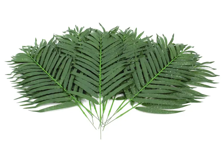 Europalms Coconut palm branch 80cm 12x 