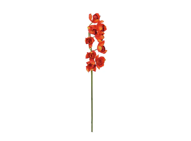 Europalms Cymbidium spray, red, 90cm 