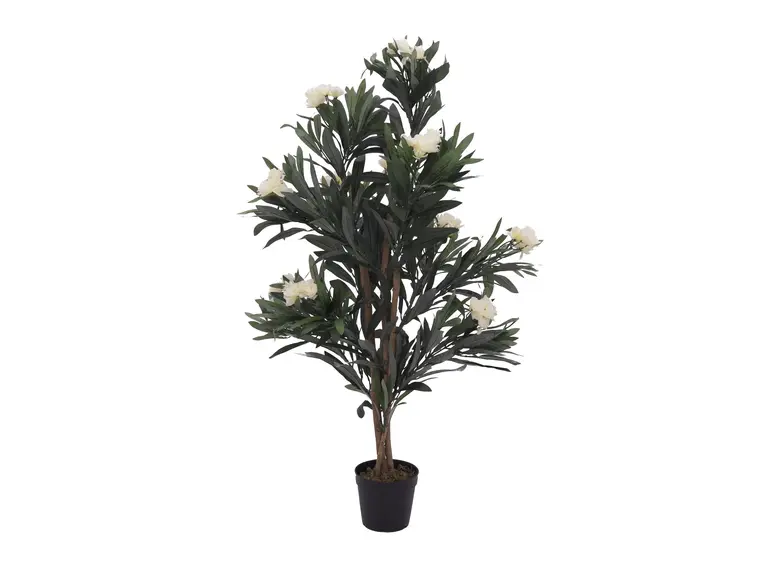 Europalms Oleander tree, white, 120 cm 