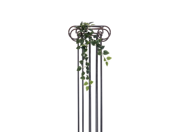 Europalms Philodendron Bush Classic 70cm 