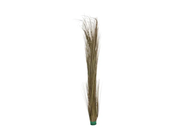 Europalms Reed grass, khaki, 127cm 