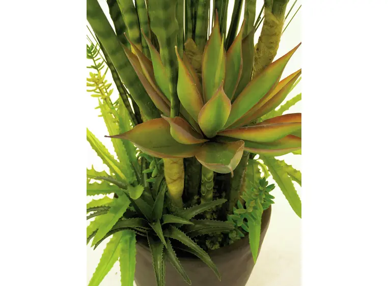 Europalms Succulent-Mix, 190cm 