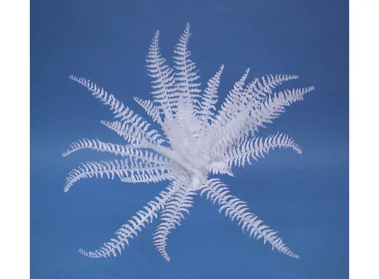 Europalms White boston fern, 60cm 