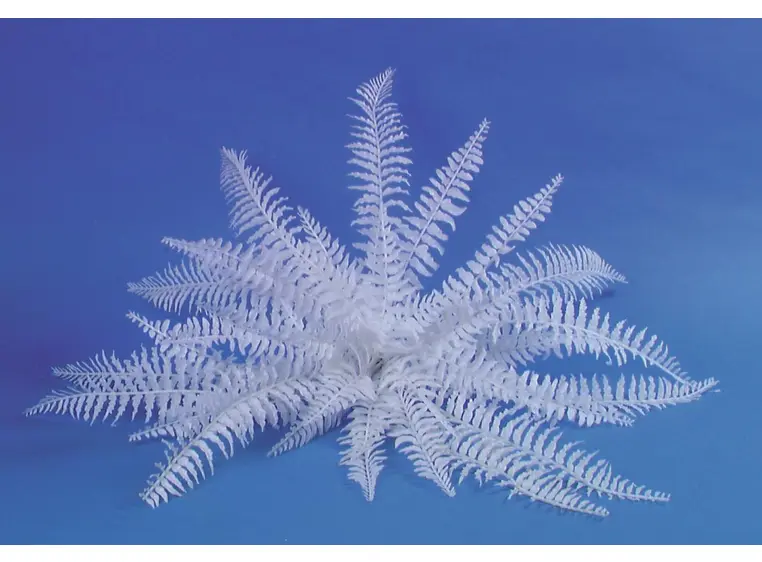 Europalms White boston fern, 60cm 