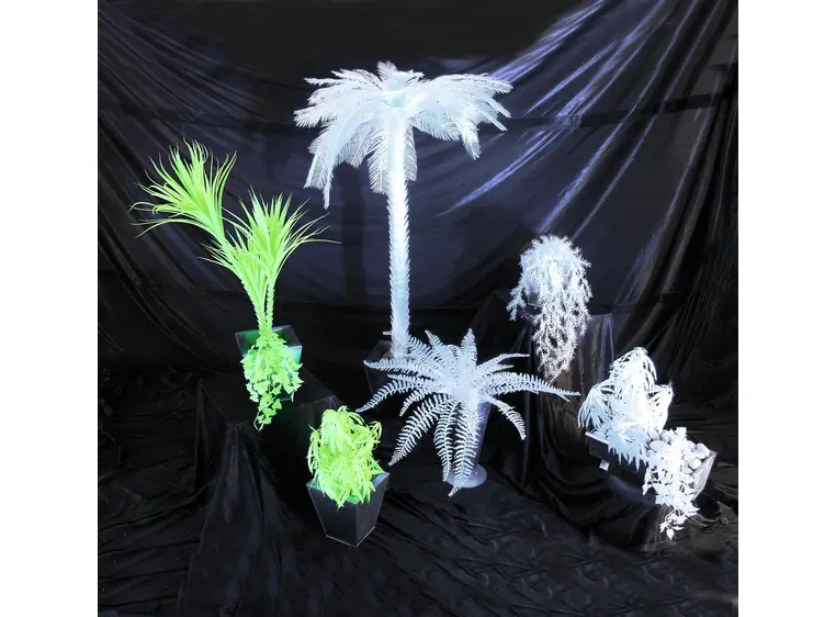 Europalms White boston fern, 60cm 