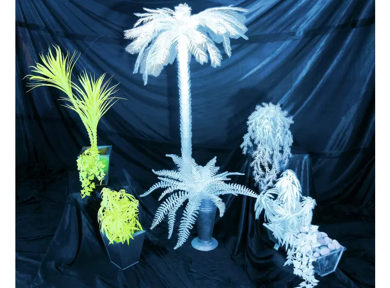 Europalms White boston fern, 60cm 