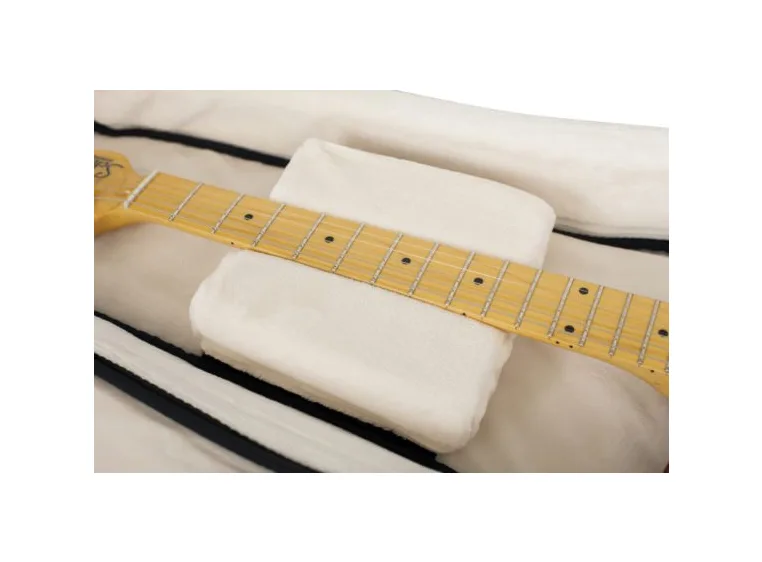 Gator Cases Pro-Go 2X guitar bag 