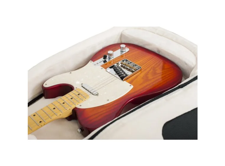 Gator Cases Pro-Go 2X guitar bag 