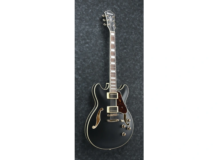 Ibanez AS73G-BKF Black Flat 