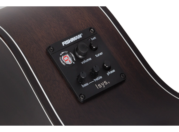 Schecter Orleans Studio Acoustic 12-str Satin See Through Black 