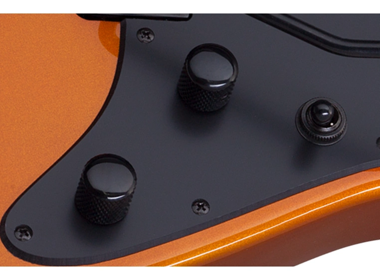 Schecter Sun Valley SS-FR  LOR 