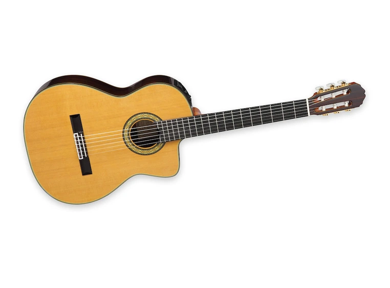 Takamine TH5C 