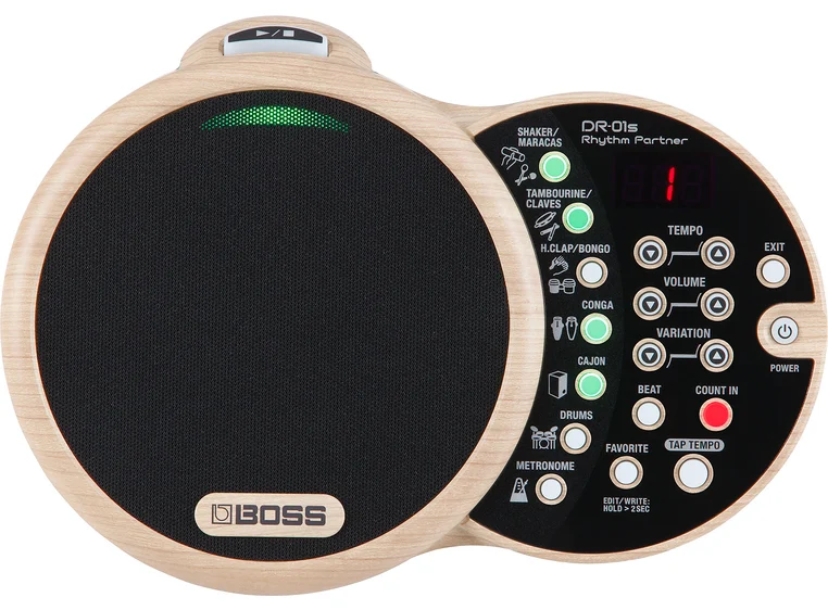 Boss DR-01S Rhythm Partner 