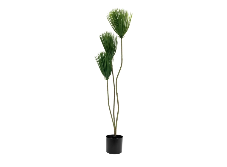 EUROPALMS Papyrus plant, artificial plant, 100cm 