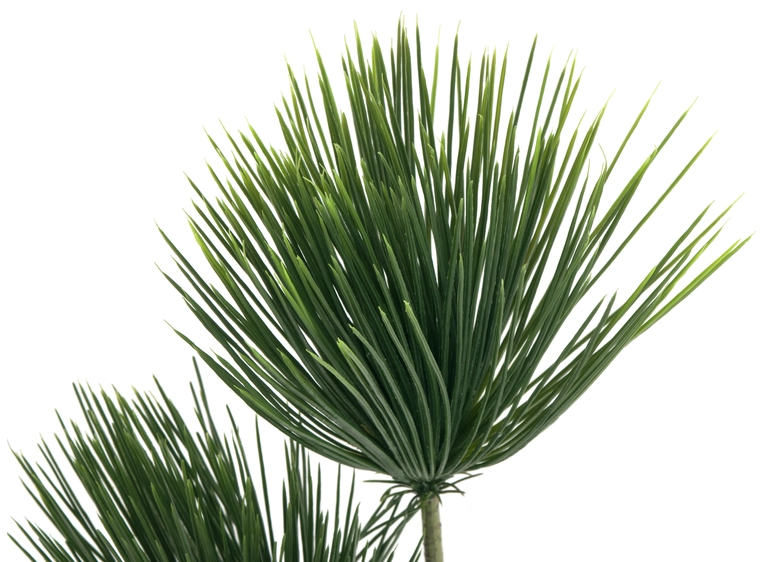 EUROPALMS Papyrus plant, artificial plant, 100cm 