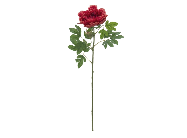 EUROPALMS Peony Branch Classic, magenta 80cm 