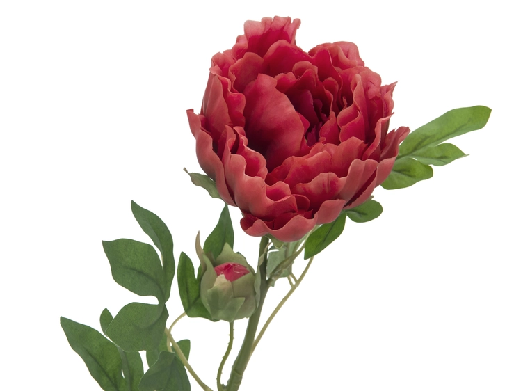 EUROPALMS Peony Branch Classic, magenta 80cm 