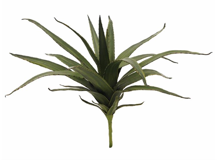 Europalms Aloe (EVA), green, 50cm