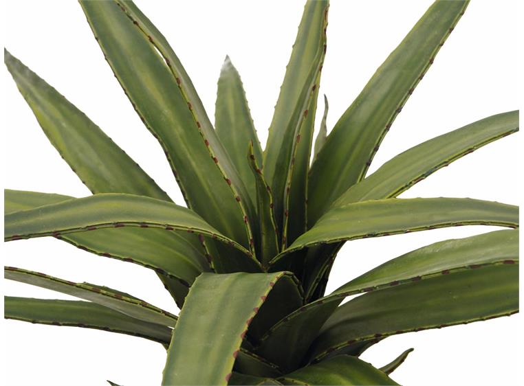 Europalms Aloe (EVA), green, 50cm