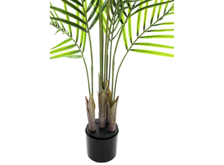 Europalms Areca palm with big leaves 125cm 