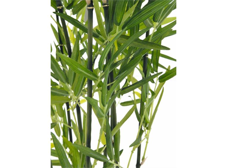 Europalms Bamboo in Bowl, 120cm
