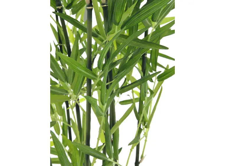 Europalms Bamboo in Bowl, 120cm 