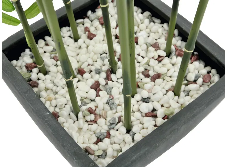 Europalms Bamboo in Bowl, 120cm 