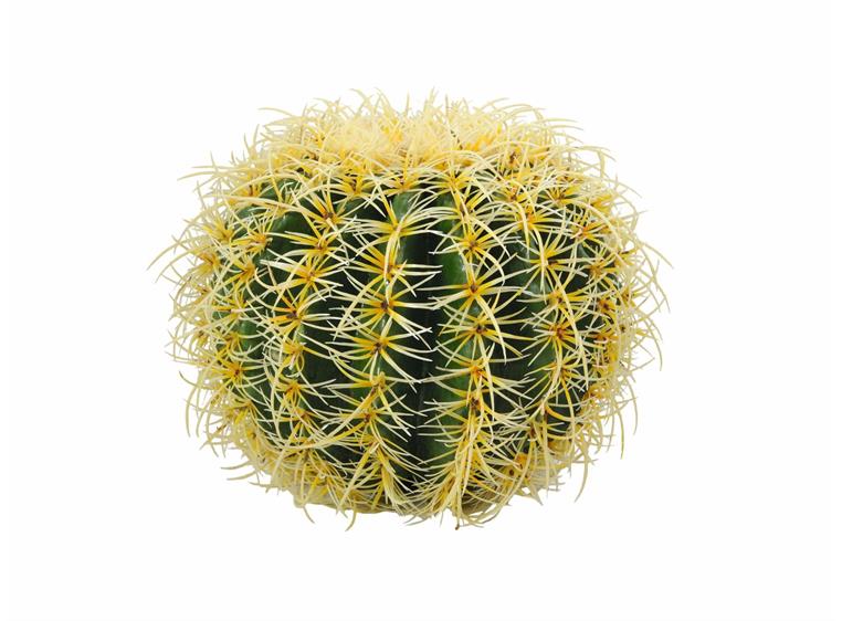 Europalms Barrel Cactus, 27cm