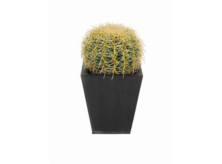 Europalms Barrel Cactus, 27cm