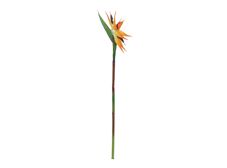 Europalms Bird-of-paradise spray, orange 95cm 