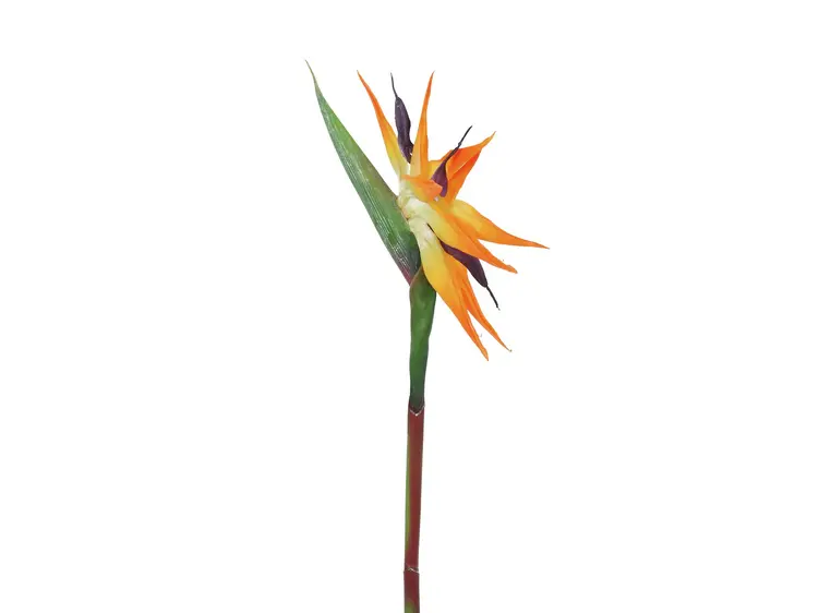Europalms Bird-of-paradise spray, orange 95cm 