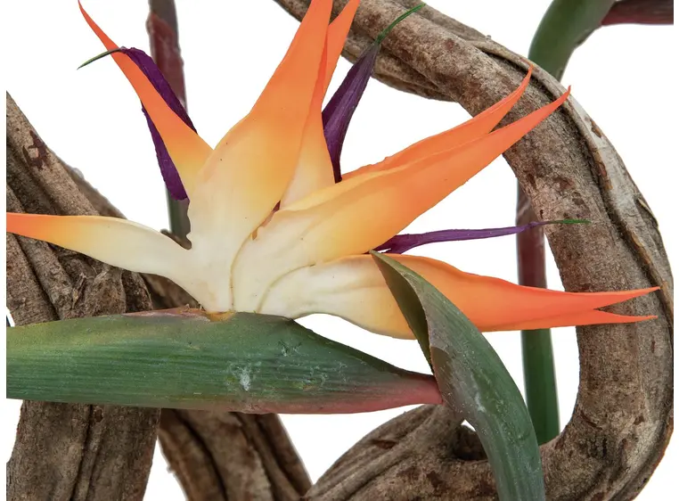 Europalms Bird-of-paradise spray, orange 95cm 
