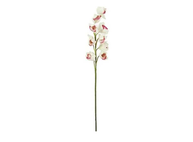Europalms Cymbidium spray, white-pink 90cm 