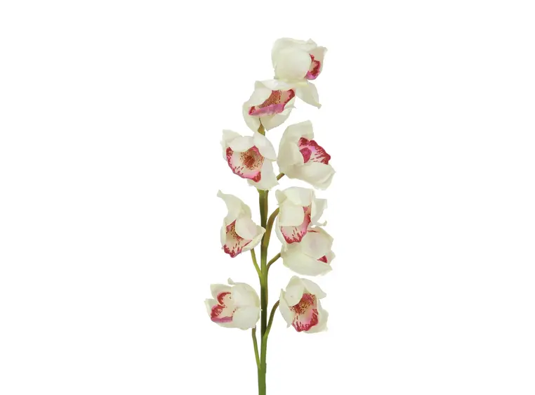 Europalms Cymbidium spray, white-pink 90cm 