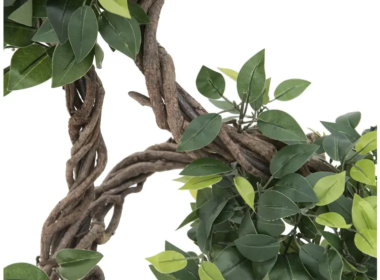 Europalms Ficus spiral trunk, 160cm 