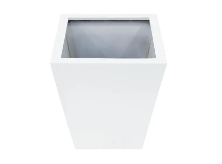 Europalms LEICHTSIN BASIC-50 shiny-white 